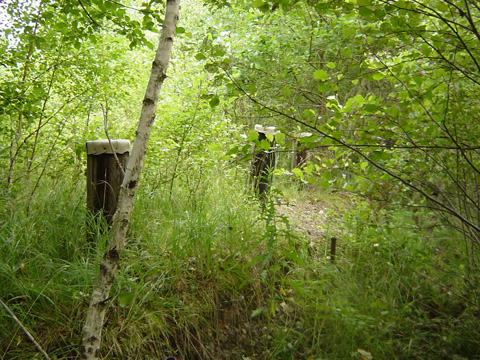 Foto 11